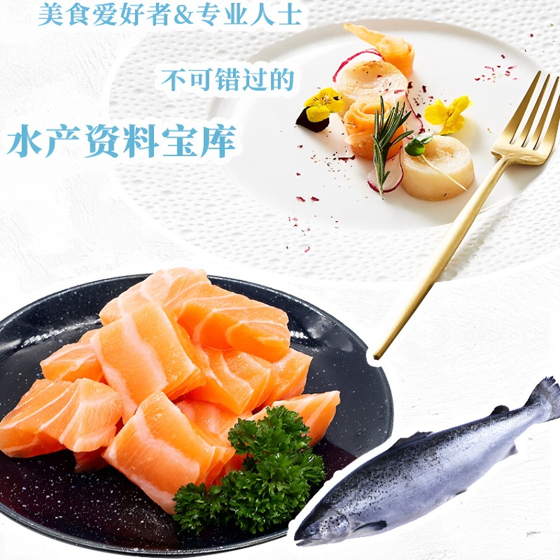 해산물 요리책 DK 300, 세계적인 해산물 요리 레시 - Home Cooking Cookbook 리뷰 및 가격